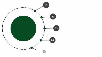 Animated infographic design of 5 steps. Each step is represented with smooth animation, minimal icons, and bold text areas, making it perfect for explaining workflows or business strategies. 