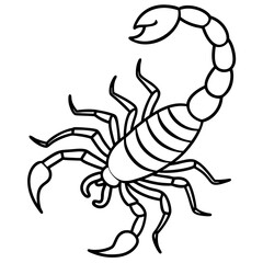 Elegant Scorpion Line Drawing