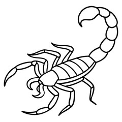 Elegant Scorpion Line Drawing