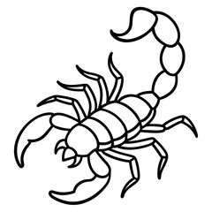 Elegant Scorpion Line Drawing