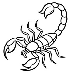 Elegant Scorpion Line Drawing