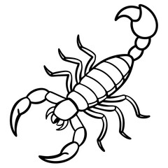 Elegant Scorpion Line Drawing
