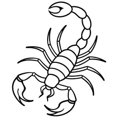 Elegant Scorpion Line Drawing