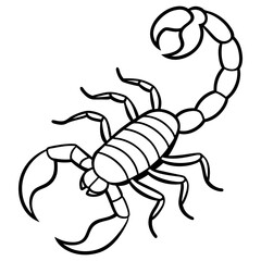 Elegant Scorpion Line Drawing