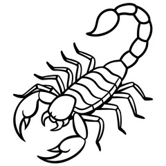 Elegant Scorpion Line Drawing