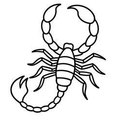 Elegant Scorpion Line Drawing