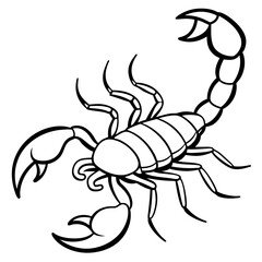 Elegant Scorpion Line Drawing