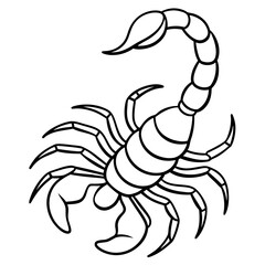 Elegant Scorpion Line Drawing