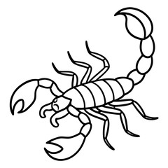 Elegant Scorpion Line Drawing