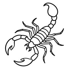 Elegant Scorpion Line Drawing