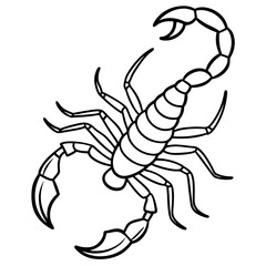 Elegant Scorpion Line Drawing