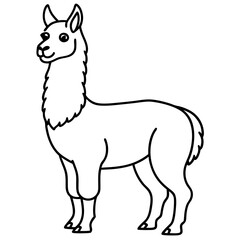 Elegant Llama Line Art Illustration