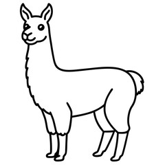 Elegant Llama Line Art Illustration