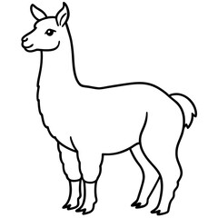 Elegant Llama Line Art Illustration