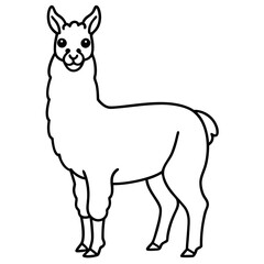 Elegant Llama Line Art Illustration