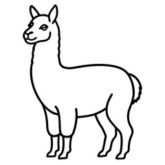 Elegant Llama Line Art Illustration
