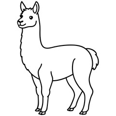 Elegant Llama Line Art Illustration