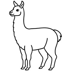 Elegant Llama Line Art Illustration