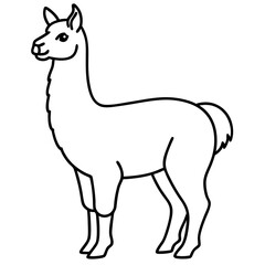 Elegant Llama Line Art Illustration