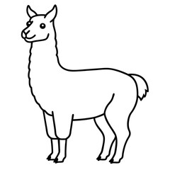 Elegant Llama Line Art Illustration