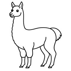Elegant Llama Line Art Illustration