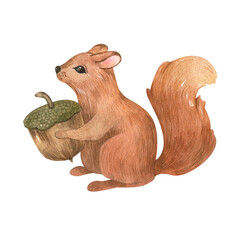 
Cute squirrel painted in watercolor technique with an acorn. Suitable for postcards, fabrics,stickers and decor