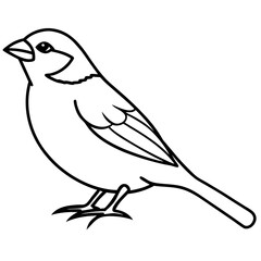 Elegant Sparrow in Single Line Art