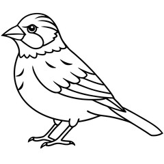 Elegant Sparrow in Single Line Art