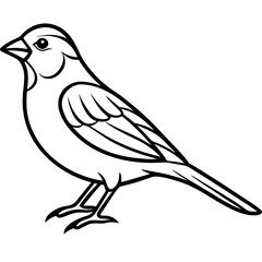 Elegant Sparrow in Single Line Art