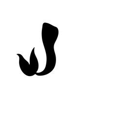 Mermaid tail silhouette icon