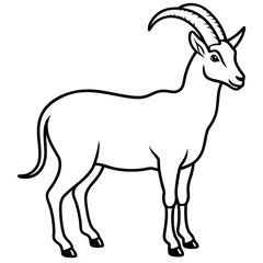 Ibex in a Single Stroke Vector Design