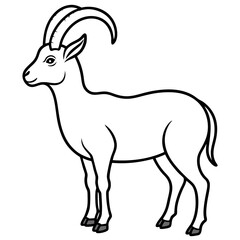 Fototapeta premium Ibex in a Single Stroke Vector Design