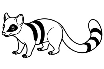 Ringtail Elegance
