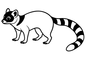 Ringtail Elegance