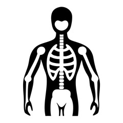 Anatomy Study Icon Line Art Health & Medical Vector Illustration on Transparent Background PNG Image  