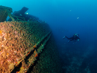 unrecognizable scuba diver diving into the blue ocean near of a wreck, concept of underwater...