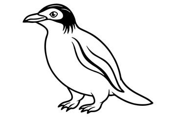 Rockhopper Line Art