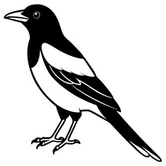 Magpie Outline Simple Vector Art