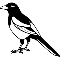 Magpie Outline Simple Vector Art