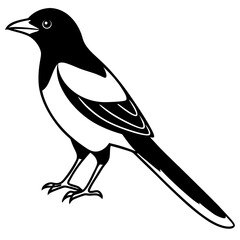 Magpie Outline Simple Vector Art