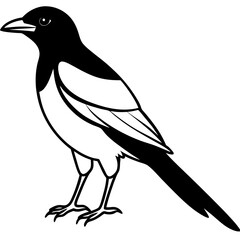 Magpie Outline Simple Vector Art