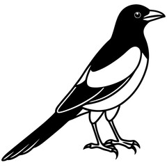 Magpie Outline Simple Vector Art