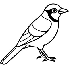 Minimalist Vector Jay in One Line