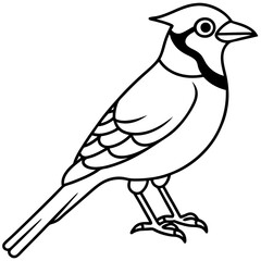 Minimalist Vector Jay in One Line