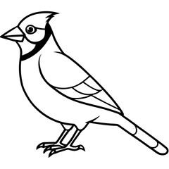 Minimalist Vector Jay in One Line