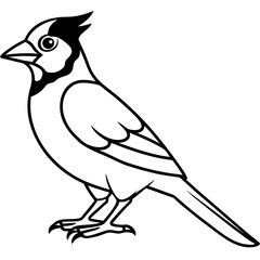 Minimalist Vector Jay in One Line