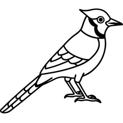 Minimalist Vector Jay in One Line