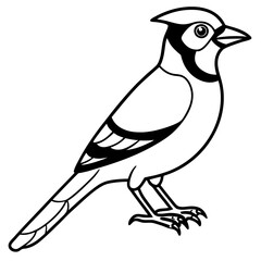 Minimalist Vector Jay in One Line