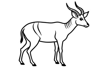Saiga Antelope Line Drawing