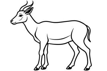 Saiga Antelope Line Drawing